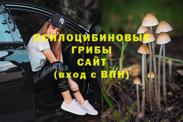 метамфетамин Нязепетровск