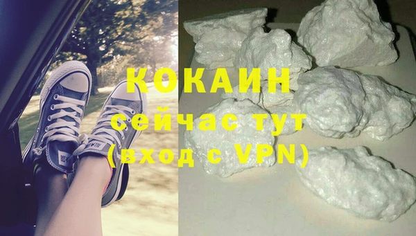 мдпв Богданович