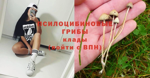 твердый Нягань