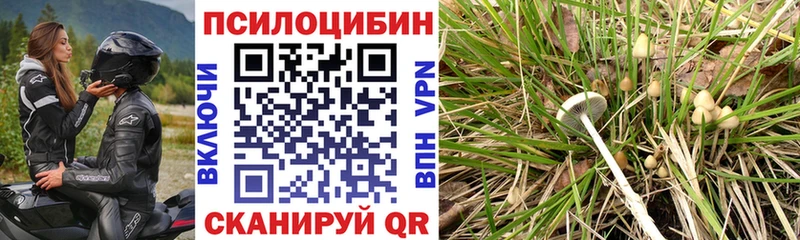 Галлюциногенные грибы Magic Shrooms  Новая Ляля 